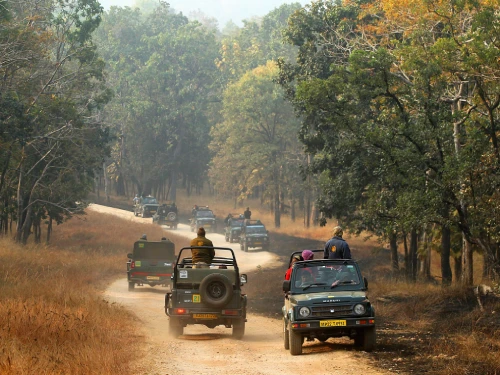 Satpura Safari Tour from Bhopal