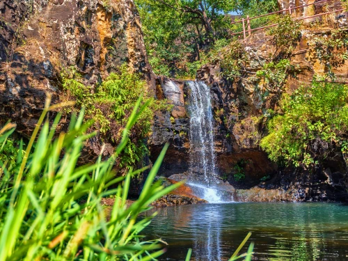 Pachmarhi Private Day Tour with Guide